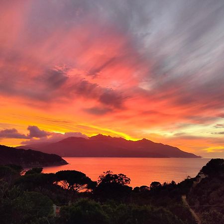 Hotel Scoglio Bianco ポルトフェッラーイオ エクステリア 写真