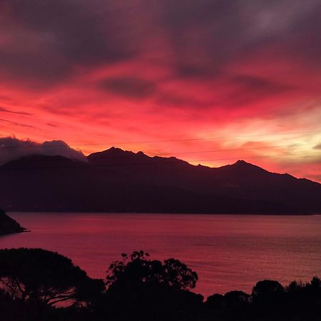 Hotel Scoglio Bianco ポルトフェッラーイオ エクステリア 写真