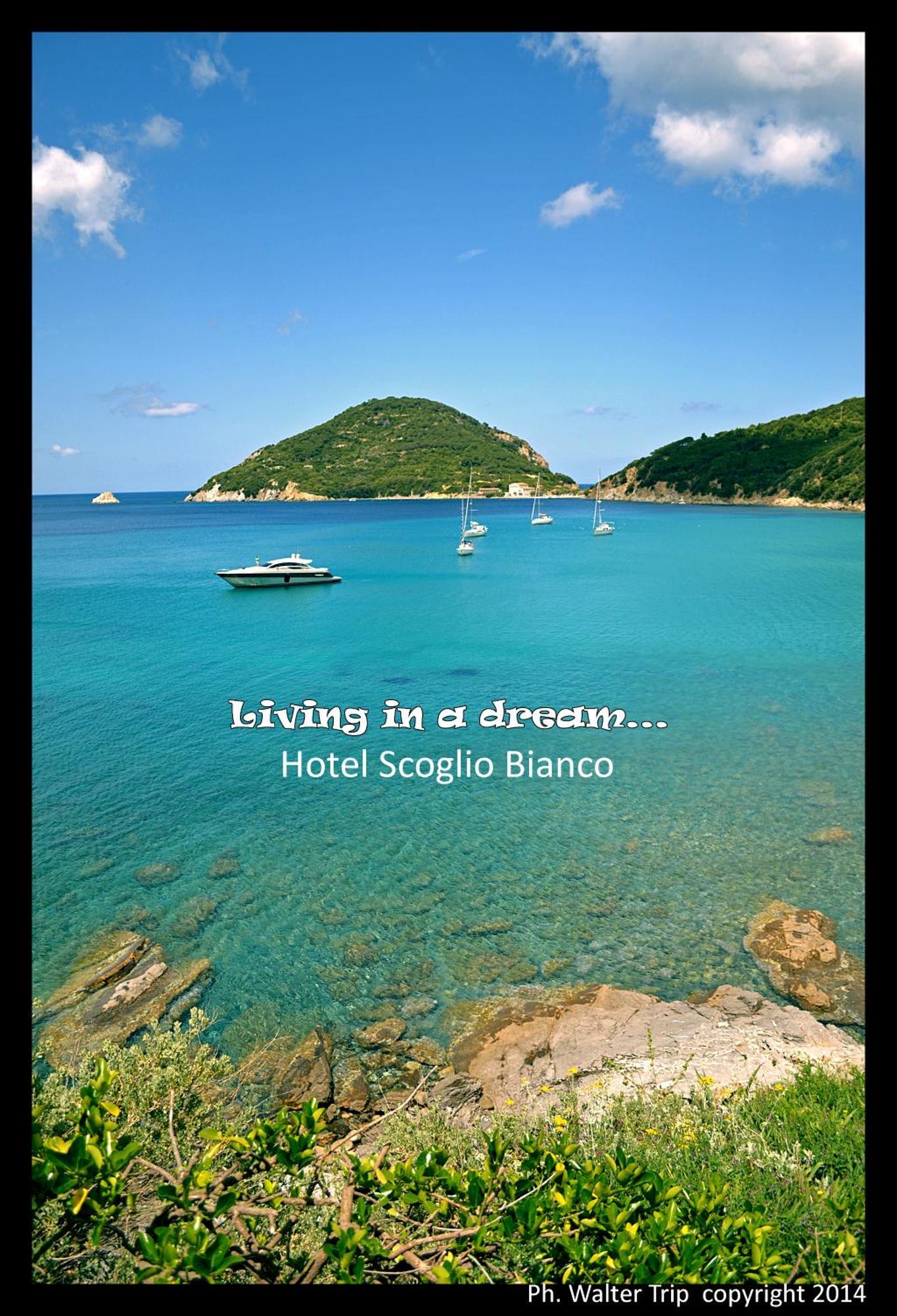 Hotel Scoglio Bianco ポルトフェッラーイオ エクステリア 写真