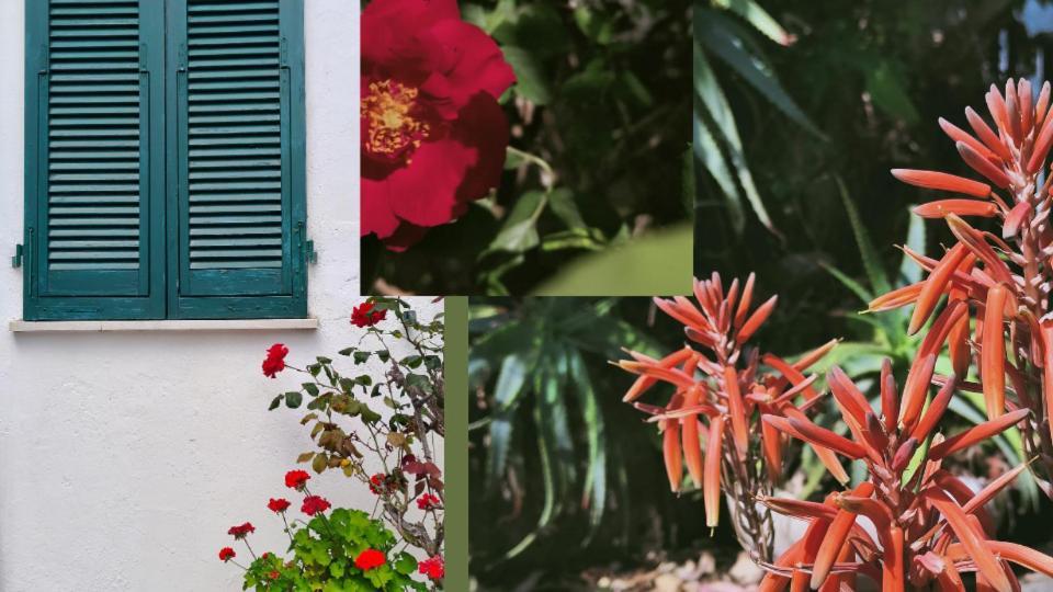 Hotel Scoglio Bianco ポルトフェッラーイオ エクステリア 写真