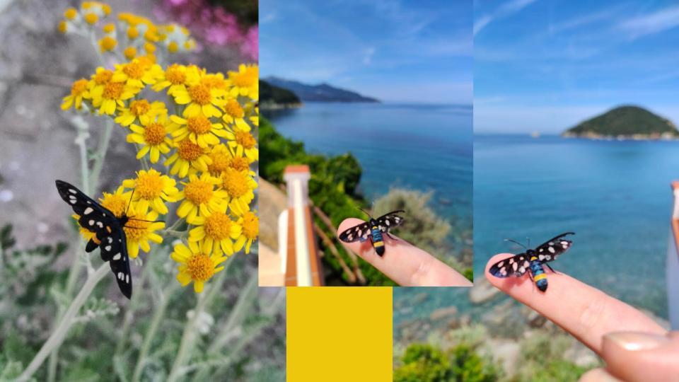 Hotel Scoglio Bianco ポルトフェッラーイオ エクステリア 写真