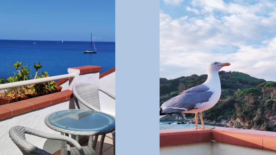 Hotel Scoglio Bianco ポルトフェッラーイオ エクステリア 写真