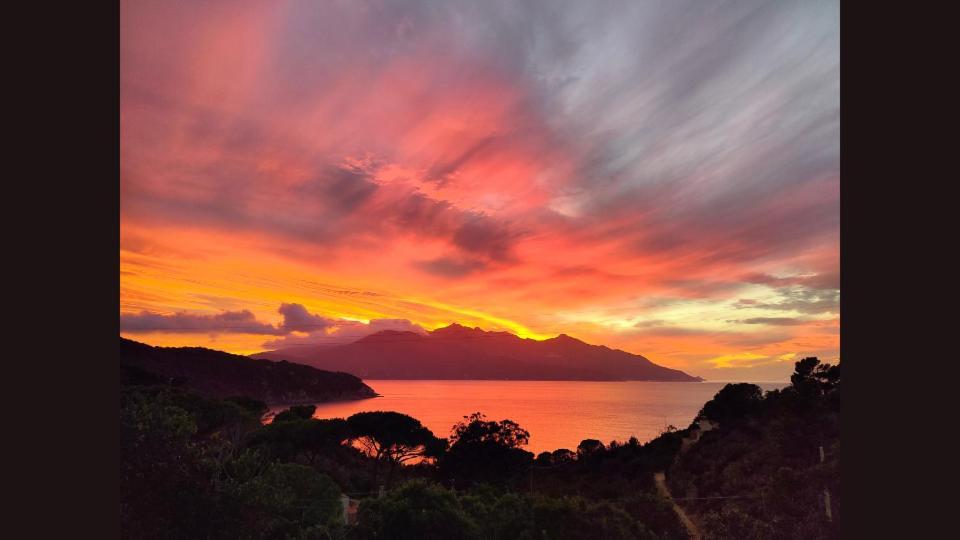 Hotel Scoglio Bianco ポルトフェッラーイオ エクステリア 写真