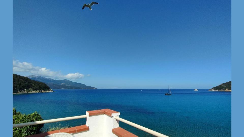 Hotel Scoglio Bianco ポルトフェッラーイオ エクステリア 写真