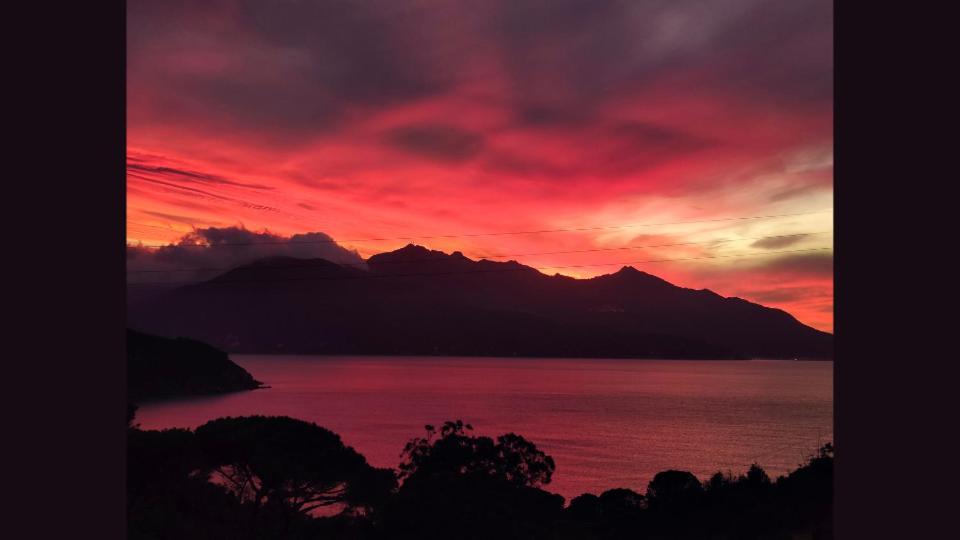 Hotel Scoglio Bianco ポルトフェッラーイオ エクステリア 写真